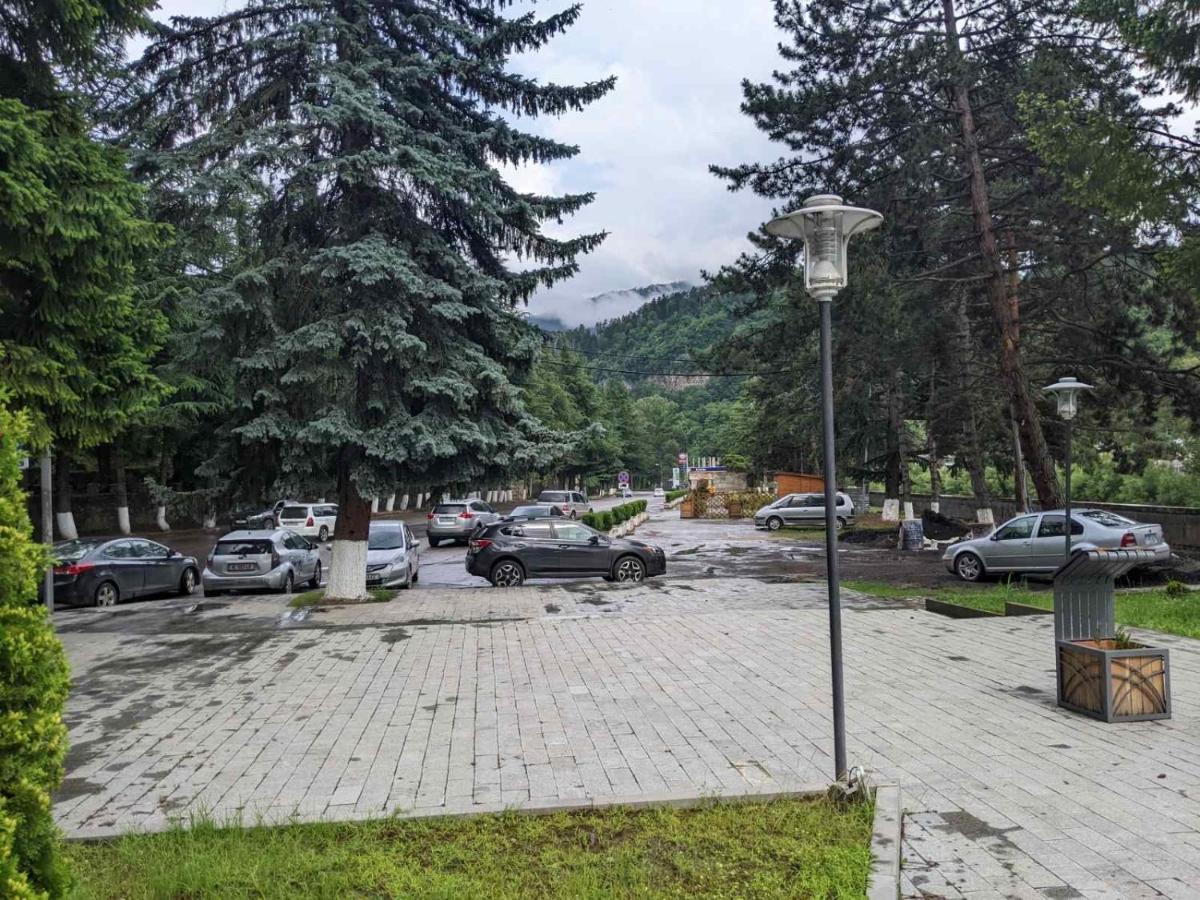 Riverside Borjomi Dış mekan fotoğraf